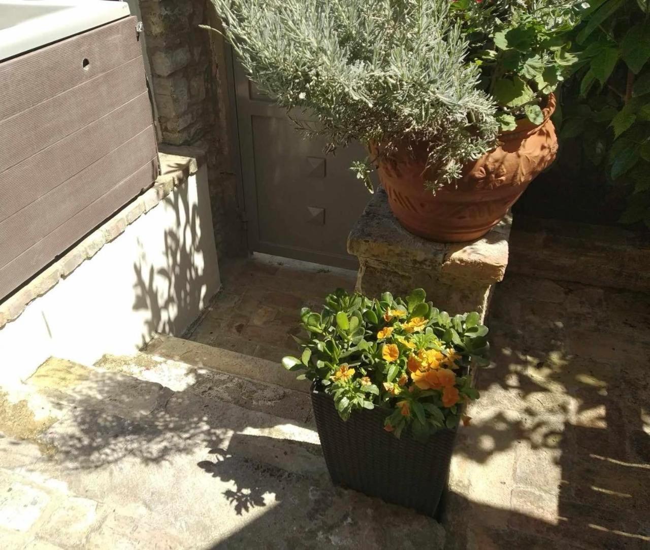 Anemomilos Jacuzzi Suite Corfu  Exterior photo