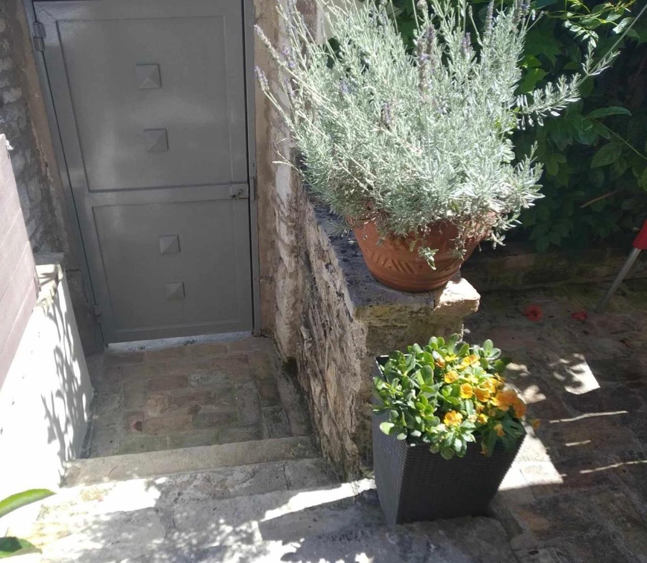 Anemomilos Jacuzzi Suite Corfu  Exterior photo